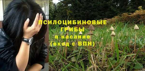 прущая мука Богородицк